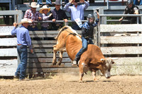 Sunday Bull Riding 5-21-23