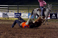 Thursday Night Steer Wrestling